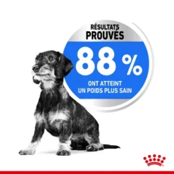 ROYAL CANIN CCN Mini Light Weight Care 8kg 11 ROYAL CANIN CCN Mini Light Weight Care 8kg -Magasin De Fournitures Pour Chiens fre pl ROYAL CANIN CCN Mini Light Weight Care 8kg 10067 6