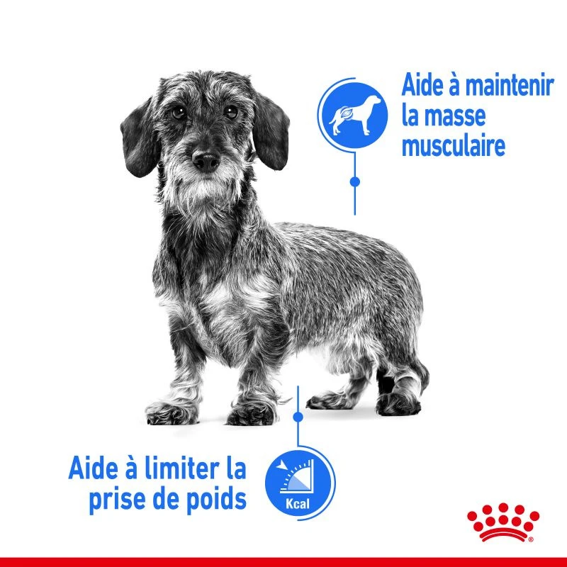 ROYAL CANIN CCN Mini Light Weight Care 8kg 4 ROYAL CANIN CCN Mini Light Weight Care 8kg – Image 4