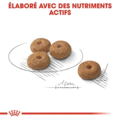ROYAL CANIN CCN Mini Sterilised 8kg 9 ROYAL CANIN CCN Mini Sterilised 8kg -Magasin De Fournitures Pour Chiens fre pl ROYAL CANIN CCN Mini Sterilised 8kg 16292 4