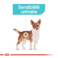 ROYAL CANIN CCN Mini Urinary Care 1kg + OVER ZOO Délicatesse 100g GRATUIT -Magasin De Fournitures Pour Chiens fre pl ROYAL CANIN CCN Mini Urinary Care 1kg OVER ZOO Delicatesse 100g GRATUIT 30810 1