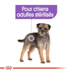ROYAL CANIN CCN Sterilised Mini Pâté 12x85g 10 ROYAL CANIN CCN Sterilised Mini Pâté 12x85g -Magasin De Fournitures Pour Chiens fre pl ROYAL CANIN CCN Sterilised Mini Pate 12x85g 10088 5