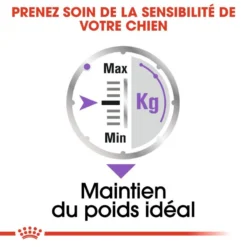 ROYAL CANIN CCN Sterilised Mini Pâté 12x85g 11 ROYAL CANIN CCN Sterilised Mini Pâté 12x85g -Magasin De Fournitures Pour Chiens fre pl ROYAL CANIN CCN Sterilised Mini Pate 12x85g 10088 6