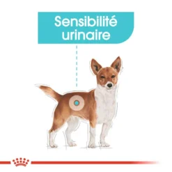 ROYAL CANIN CCN Urinary Care Pâté 12x85g -Magasin De Fournitures Pour Chiens fre pl ROYAL CANIN CCN Urinary Care pate 12x85g 10087 4