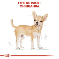 ROYAL CANIN Chihuahua Adult 500g X2 -Magasin De Fournitures Pour Chiens fre pl ROYAL CANIN Chihuahua Adult 500g x2 30761 3