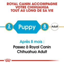 ROYAL CANIN Chihuahua Puppy 1,5kg -Magasin De Fournitures Pour Chiens fre pl ROYAL CANIN Chihuahua Puppy 1 5kg 15969 3