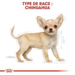 ROYAL CANIN Chihuahua Puppy 1,5kg -Magasin De Fournitures Pour Chiens fre pl ROYAL CANIN Chihuahua Puppy 1 5kg 15969 5