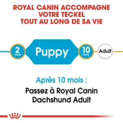 ROYAL CANIN Dachshund Puppy 1,5kg -Magasin De Fournitures Pour Chiens fre pl ROYAL CANIN Dachshund Puppy 1 5kg 15331 2