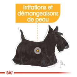 ROYAL CANIN Dermacomfort Pâté 12x85g -Magasin De Fournitures Pour Chiens fre pl ROYAL CANIN Dermacomfort Pate 12x85g 10092 4