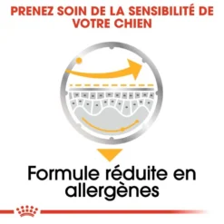 ROYAL CANIN Dermacomfort Pâté 12x85g -Magasin De Fournitures Pour Chiens fre pl ROYAL CANIN Dermacomfort Pate 12x85g 10092 6