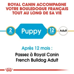 ROYAL CANIN French Bulldog Puppy 10kg 8 ROYAL CANIN French Bulldog Puppy 10kg -Magasin De Fournitures Pour Chiens fre pl ROYAL CANIN French Bulldog Puppy 10kg 15978 3
