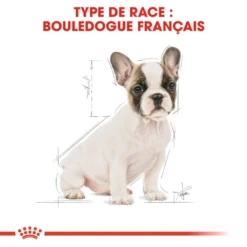 ROYAL CANIN French Bulldog Puppy 10kg 11 ROYAL CANIN French Bulldog Puppy 10kg -Magasin De Fournitures Pour Chiens fre pl ROYAL CANIN French Bulldog Puppy 10kg 15978 6