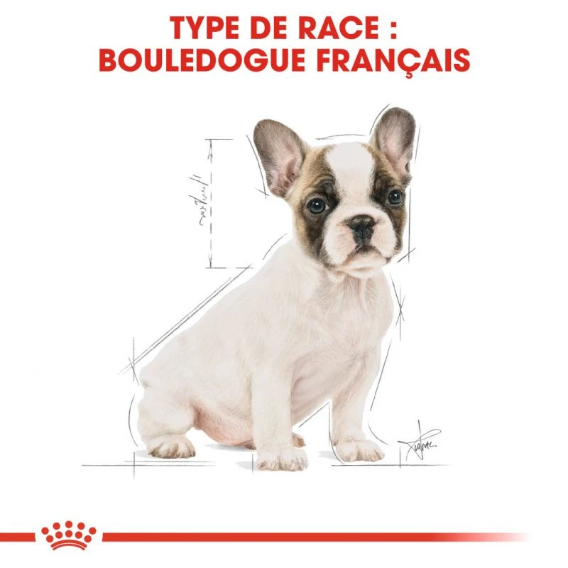 ROYAL CANIN French Bulldog Puppy 10kg 6 ROYAL CANIN French Bulldog Puppy 10kg – Image 6