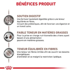ROYAL CANIN Gastrointestinal Low Fat 6kg + Surprise Pour Votre Chien GRATUITES ! -Magasin De Fournitures Pour Chiens fre pl ROYAL CANIN Gastrointestinal Low Fat 6kg surprise pour votre chien GRATUITES 25241 1