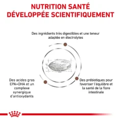 ROYAL CANIN Gastrointestinal Low Fat 6kg + Surprise Pour Votre Chien GRATUITES ! -Magasin De Fournitures Pour Chiens fre pl ROYAL CANIN Gastrointestinal Low Fat 6kg surprise pour votre chien GRATUITES 25241 3