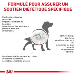ROYAL CANIN Gastrointestinal Low Fat 6kg + Surprise Pour Votre Chien GRATUITES ! -Magasin De Fournitures Pour Chiens fre pl ROYAL CANIN Gastrointestinal Low Fat 6kg surprise pour votre chien GRATUITES 25241 4
