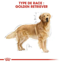 ROYAL CANIN Golden Retriever Adult 12kg 8 ROYAL CANIN Golden Retriever Adult 12kg -Magasin De Fournitures Pour Chiens fre pl ROYAL CANIN Golden Retriever Adult 12kg 16018 3