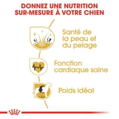 ROYAL CANIN Golden Retriever Adult 12kg 10 ROYAL CANIN Golden Retriever Adult 12kg -Magasin De Fournitures Pour Chiens fre pl ROYAL CANIN Golden Retriever Adult 12kg 16018 5