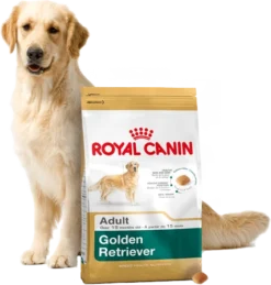 ROYAL CANIN Golden Retriever Adult 12kg + Surprise Pour Votre Chien GRATUITES ! 8 ROYAL CANIN Golden Retriever Adult 12kg + Surprise Pour Votre Chien GRATUITES ! -Magasin De Fournitures Pour Chiens fre pl ROYAL CANIN Golden Retriever Adult 12kg surprise pour votre chien GRATUITES 17874 3