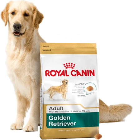 ROYAL CANIN Golden Retriever Adult 12kg + Surprise Pour Votre Chien GRATUITES ! 3 ROYAL CANIN Golden Retriever Adult 12kg + Surprise Pour Votre Chien GRATUITES ! – Image 3