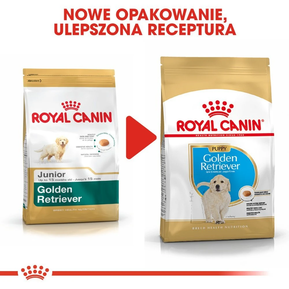 ROYAL CANIN Golden Retriever Puppy 12kg + Surprise Pour Votre Chien GRATUITES ! 3 ROYAL CANIN Golden Retriever Puppy 12kg + Surprise Pour Votre Chien GRATUITES ! – Image 3