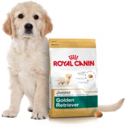 ROYAL CANIN Golden Retriever Puppy 12kg + Surprise Pour Votre Chien GRATUITES ! 9 ROYAL CANIN Golden Retriever Puppy 12kg + Surprise Pour Votre Chien GRATUITES ! -Magasin De Fournitures Pour Chiens fre pl ROYAL CANIN Golden Retriever Puppy 12kg surprise pour votre chien GRATUITES 17884 4