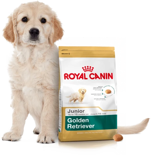 ROYAL CANIN Golden Retriever Puppy 12kg + Surprise Pour Votre Chien GRATUITES ! 4 ROYAL CANIN Golden Retriever Puppy 12kg + Surprise Pour Votre Chien GRATUITES ! – Image 4