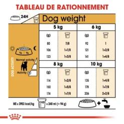 ROYAL CANIN Jack Russell Terrier Adult 500g 10 ROYAL CANIN Jack Russell Terrier Adult 500g -Magasin De Fournitures Pour Chiens fre pl ROYAL CANIN Jack Russell Terrier Adult 500g 16917 4