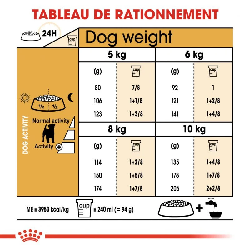 ROYAL CANIN Jack Russell Terrier Adult 500g 5 ROYAL CANIN Jack Russell Terrier Adult 500g – Image 5