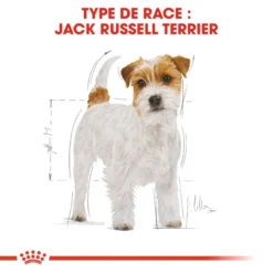 ROYAL CANIN Jack Russell Terrier Adult 500g 8 ROYAL CANIN Jack Russell Terrier Adult 500g -Magasin De Fournitures Pour Chiens fre pl ROYAL CANIN Jack Russell Terrier Adult 500g 16917 7