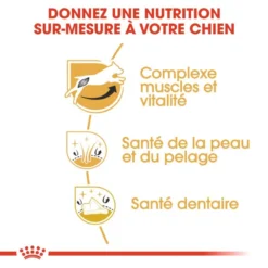 ROYAL CANIN Jack Russell Terrier Adult 7,5kg 8 ROYAL CANIN Jack Russell Terrier Adult 7,5kg -Magasin De Fournitures Pour Chiens fre pl ROYAL CANIN Jack Russell Terrier Adult 7 5kg 15345 4