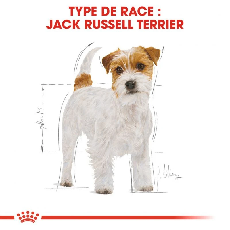 ROYAL CANIN Jack Russell Terrier Adult 7,5kg 5 ROYAL CANIN Jack Russell Terrier Adult 7,5kg – Image 5