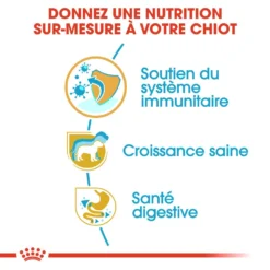 ROYAL CANIN Jack Russell Terrier Puppy 500g 7 ROYAL CANIN Jack Russell Terrier Puppy 500g -Magasin De Fournitures Pour Chiens fre pl ROYAL CANIN Jack Russell Terrier Puppy 500g 15346 2