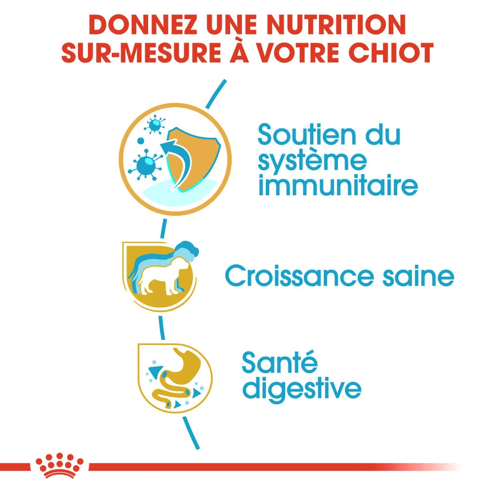 ROYAL CANIN Jack Russell Terrier Puppy 500g 3 ROYAL CANIN Jack Russell Terrier Puppy 500g – Image 3