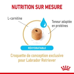 ROYAL CANIN Labrador Retriever Adult 5+ 3kg -Magasin De Fournitures Pour Chiens fre pl ROYAL CANIN Labrador Retriever Adult 5 3kg 12526 2