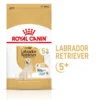 ROYAL CANIN Labrador Retriever Adult 5+ 3kg