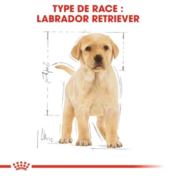 ROYAL CANIN Labrador Retriever Puppy 12kg -Magasin De Fournitures Pour Chiens fre pl ROYAL CANIN Labrador Retriever Puppy 12kg 9263 5