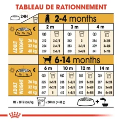 ROYAL CANIN Labrador Retriever Puppy 12kg -Magasin De Fournitures Pour Chiens fre pl ROYAL CANIN Labrador Retriever Puppy 12kg 9263 6