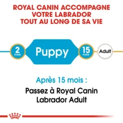 ROYAL CANIN Labrador Retriever Puppy 3kg -Magasin De Fournitures Pour Chiens fre pl ROYAL CANIN Labrador Retriever Puppy 3kg 16063 4