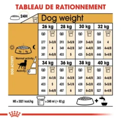 ROYAL CANIN Labrador Retriever Sterilised 12kg -Magasin De Fournitures Pour Chiens fre pl ROYAL CANIN Labrador Retriever Sterilised 12kg 9273 5