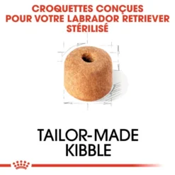 ROYAL CANIN Labrador Retriever Sterilised 12kg -Magasin De Fournitures Pour Chiens fre pl ROYAL CANIN Labrador Retriever Sterilised 12kg 9273 6