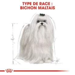 ROYAL CANIN Maltese Adult 1,5kg -Magasin De Fournitures Pour Chiens fre pl ROYAL CANIN Maltese Adult 1 5kg 16967 5