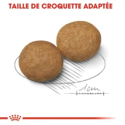 ROYAL CANIN Medium Adult 4kg 8 ROYAL CANIN Medium Adult 4kg -Magasin De Fournitures Pour Chiens fre pl ROYAL CANIN Medium Adult 4kg 9322 3