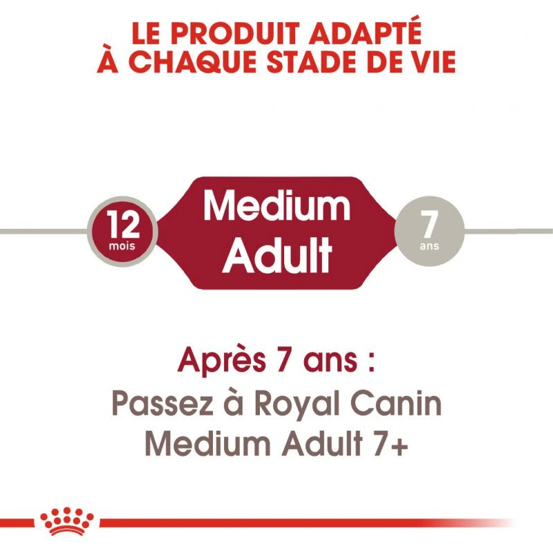 ROYAL CANIN Medium Adult 4kg 4 ROYAL CANIN Medium Adult 4kg – Image 4