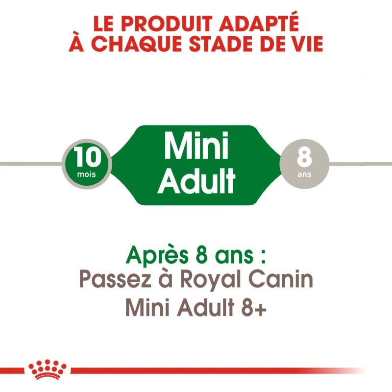 ROYAL CANIN Mini Adult 8kg 2 ROYAL CANIN Mini Adult 8kg – Image 2