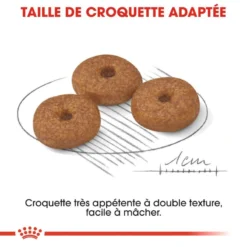 ROYAL CANIN Mini Ageing 12+ 1,5kg -Magasin De Fournitures Pour Chiens fre pl ROYAL CANIN Mini Ageing 12 1 5kg 16086 4