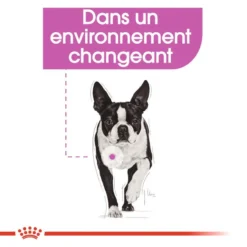 ROYAL CANIN Mini Relax Care 8kg -Magasin De Fournitures Pour Chiens fre pl ROYAL CANIN Mini Relax Care 8kg 10083 3