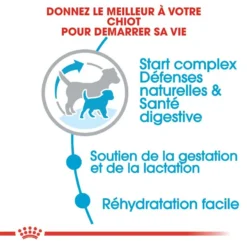 ROYAL CANIN Mini Starter 1kg -Magasin De Fournitures Pour Chiens fre pl ROYAL CANIN Mini Starter 1kg 16088 2