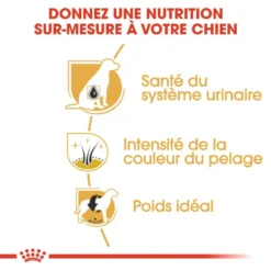 ROYAL CANIN Miniature Schnauzer Adult 3kg -Magasin De Fournitures Pour Chiens fre pl ROYAL CANIN Miniature Schnauzer Adult 3kg 9366 3
