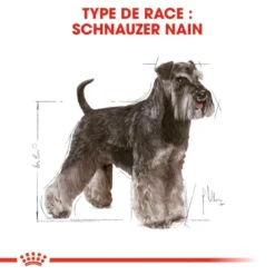 ROYAL CANIN Miniature Schnauzer Adult 3kg -Magasin De Fournitures Pour Chiens fre pl ROYAL CANIN Miniature Schnauzer Adult 3kg 9366 5