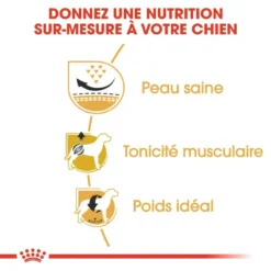 ROYAL CANIN Pug Adult 1,5kg 8 ROYAL CANIN Pug Adult 1,5kg -Magasin De Fournitures Pour Chiens fre pl ROYAL CANIN Pug Adult 1 5kg 16110 4